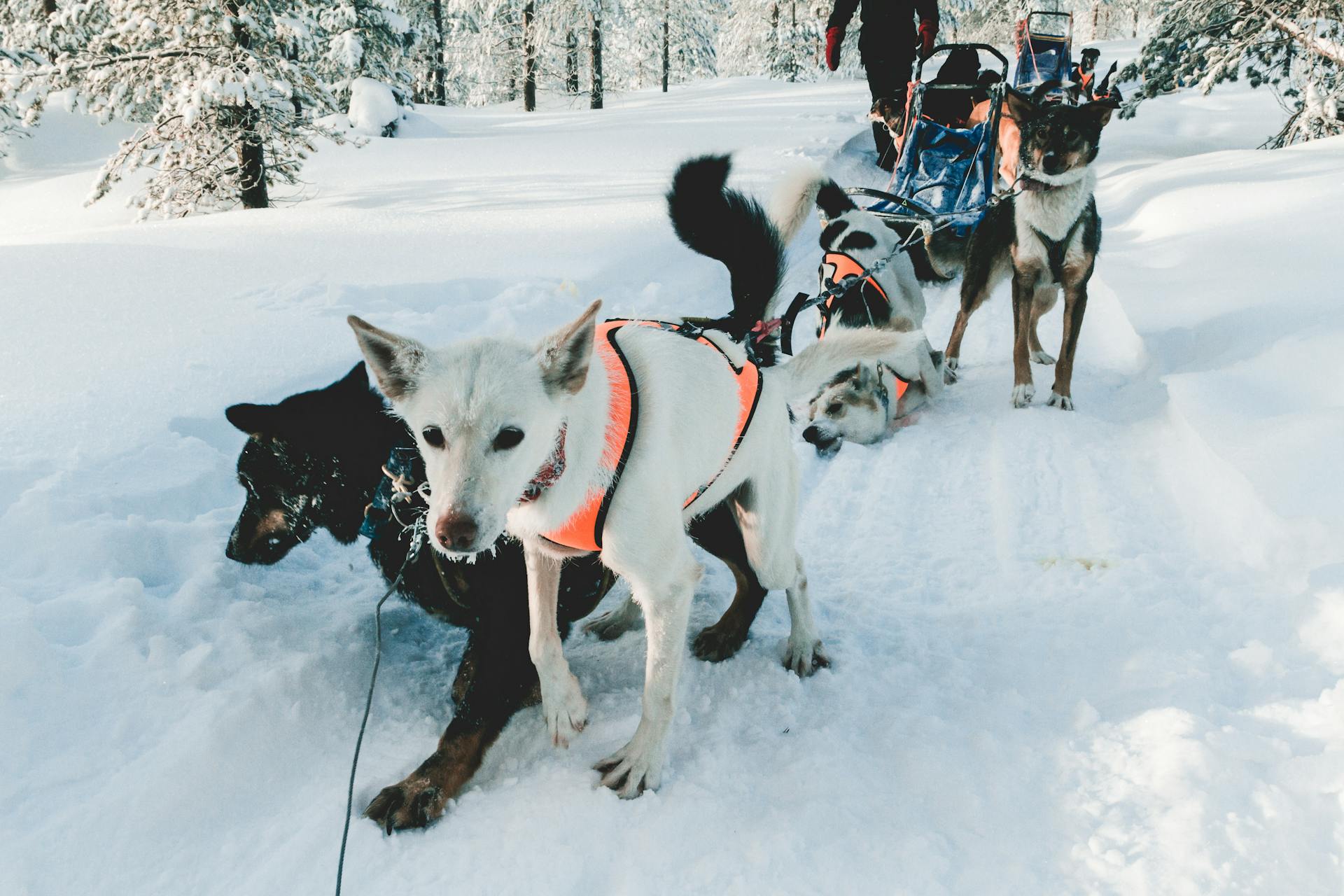 Finland