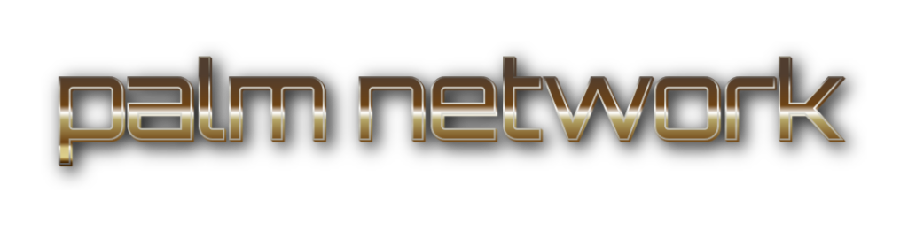 3D Palm Network metal text image