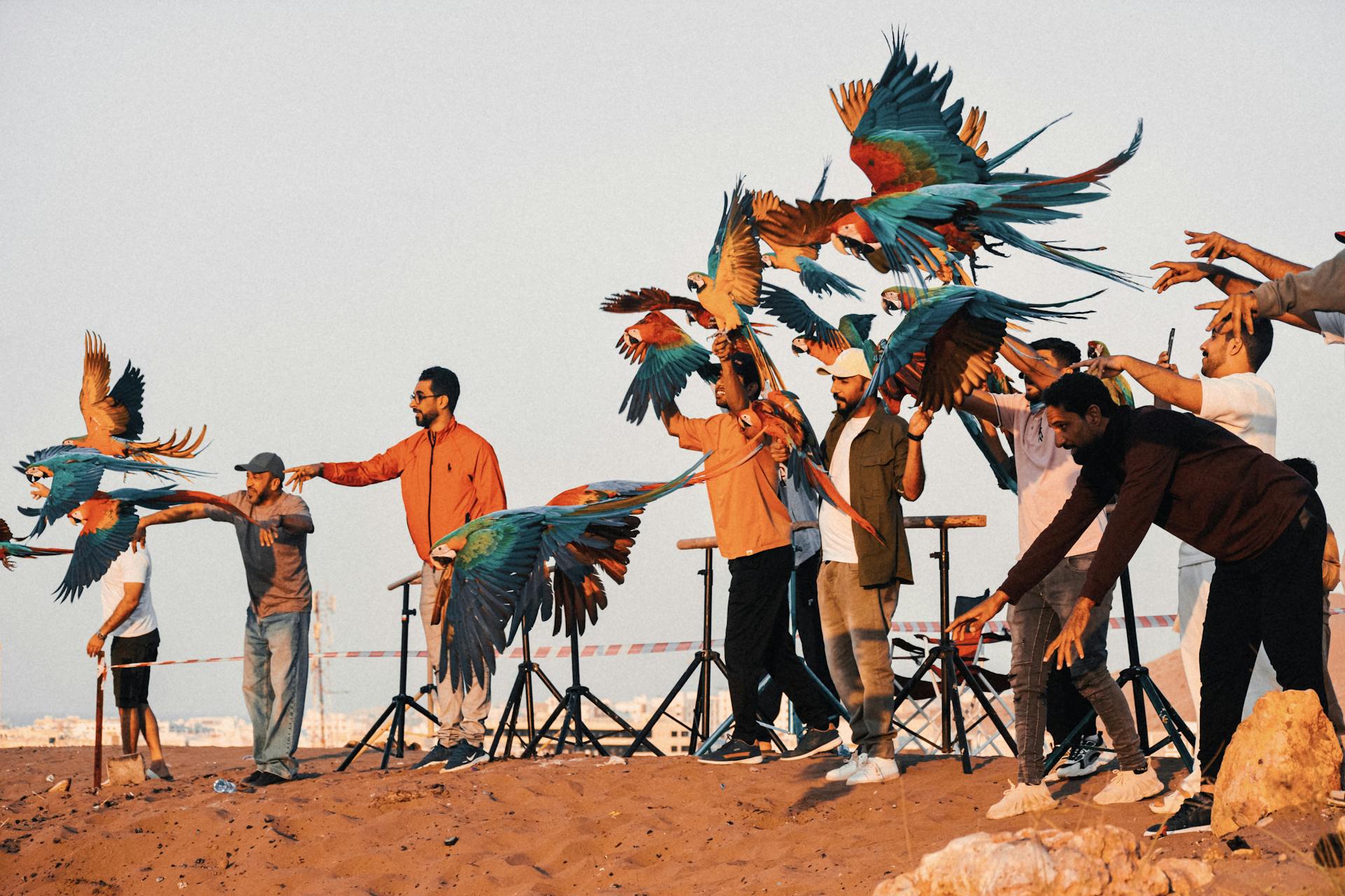 Kuwait