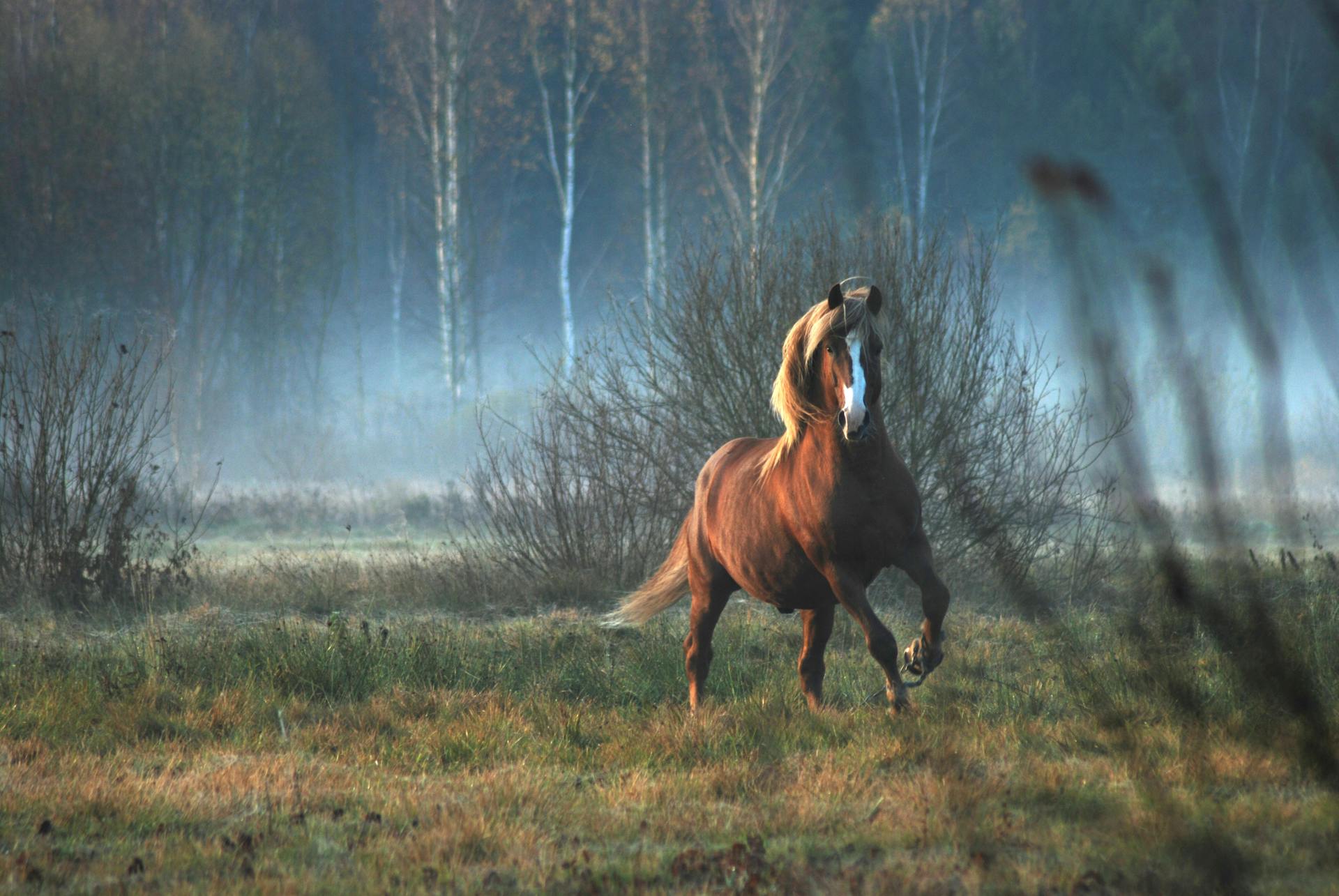 Lithuania